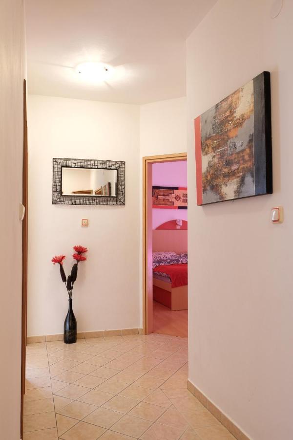 Apartman Precca スペタルスカ・ドラガ エクステリア 写真