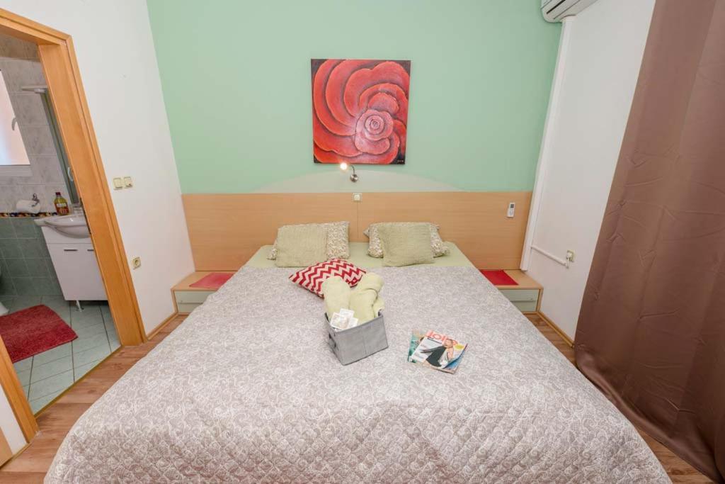 Apartman Precca スペタルスカ・ドラガ エクステリア 写真
